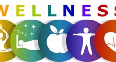 Wellness For Website