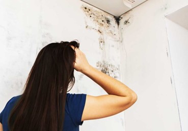 Image for Are you worried about damp and mould?