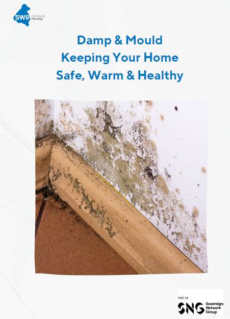 Damp & Mould Leaflet Front Cover